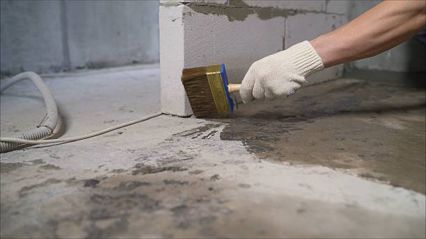 SJ Waterproofing Pros Waterproofing coverage map for East Bethany, NY and surrounding area